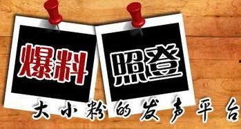 大渝网爆料台最新爆料新闻,揭秘最新劲爆新闻事件